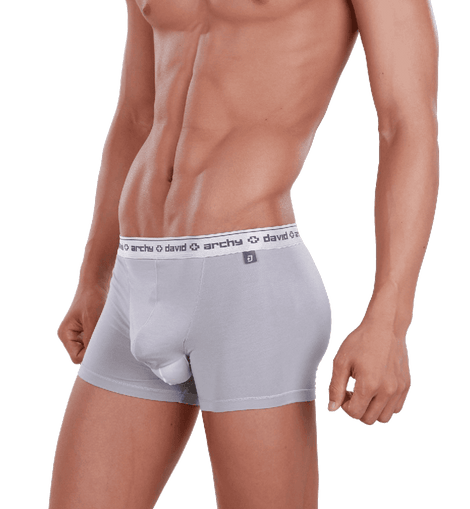 David Archy Men's 4 Pack Micro Modal Separate Pouch Trunks – Underwear Store