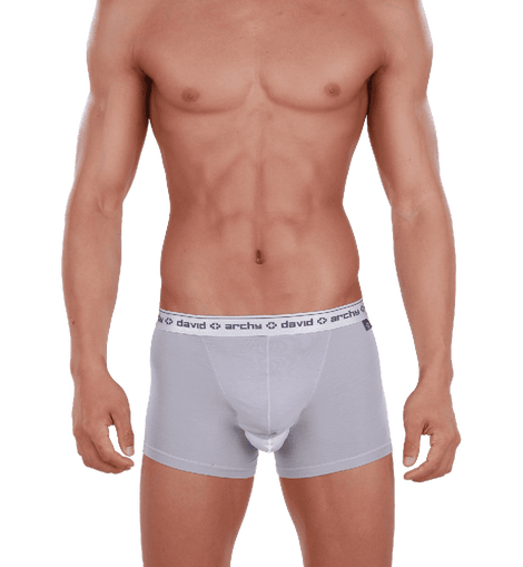Buy DAVID ARCHY Mens Underwear Dual Pouch Micro Modal Trunks Separate  Pouches Bulge Enhancing Boxer Briefs for Men 3 or 4 Pack Online at  desertcartINDIA